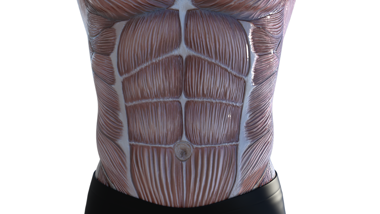 Abs