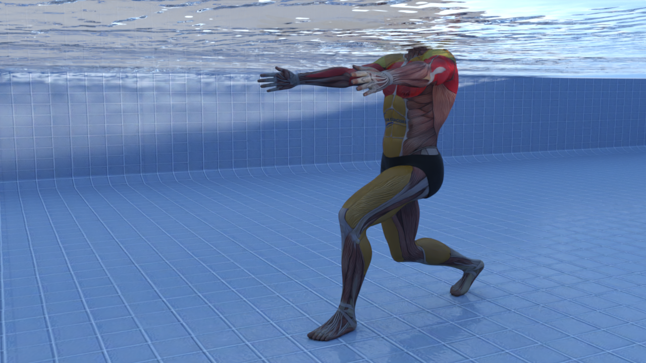 Hug3 exercise