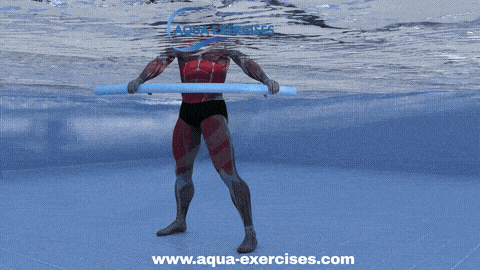 Noodle Oblique Twist